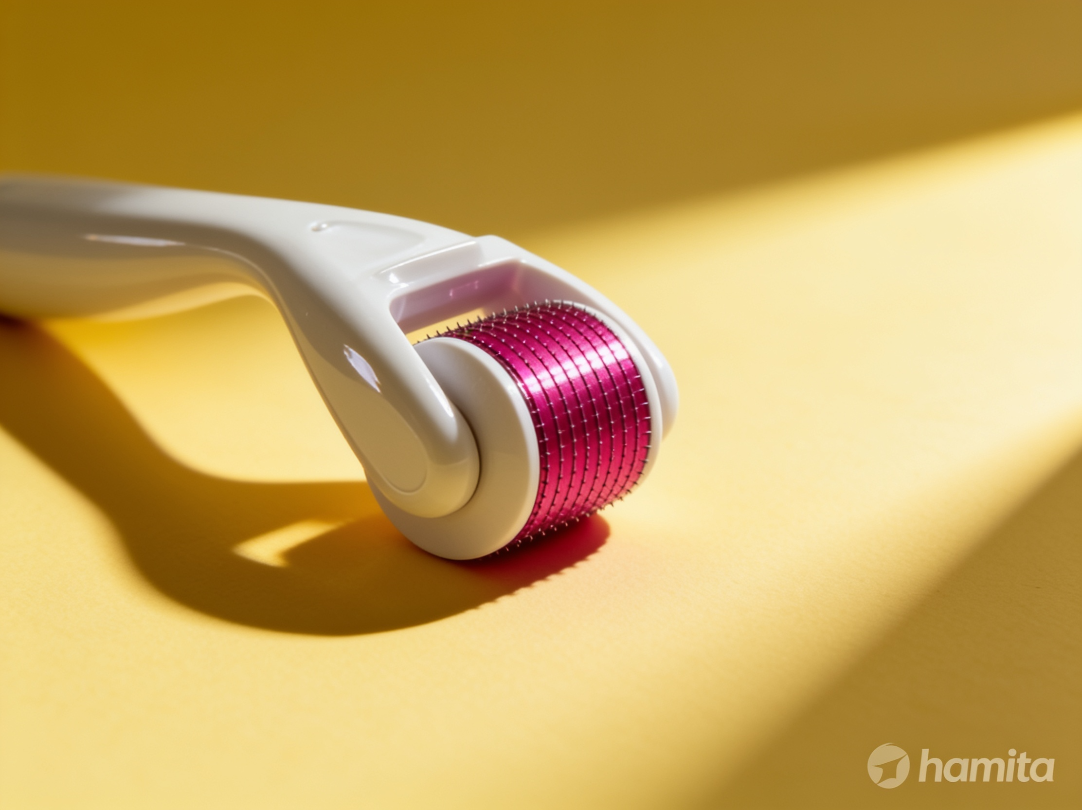 Dr Hamid Derma Roller 0.3mm